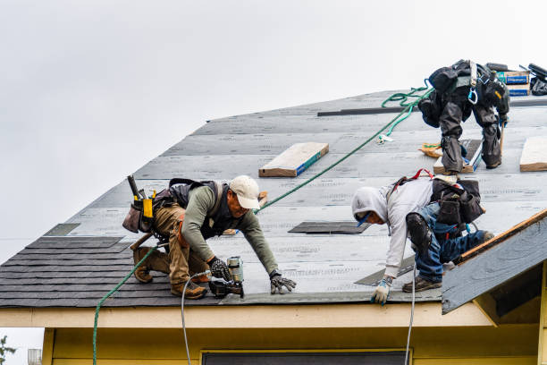 Professional Storm Damage Roof Repair technician working in Lowry City, MO